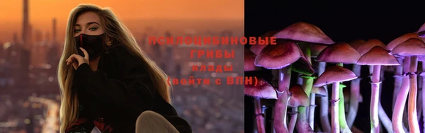 дживик Арсеньев