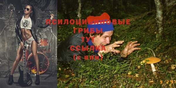 дживик Арсеньев