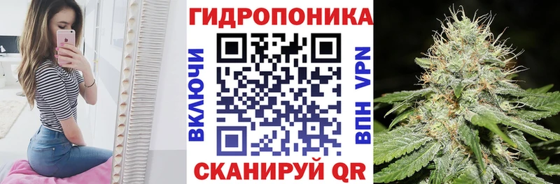 Бошки Шишки сатива  Купить закладки  Белоусово 